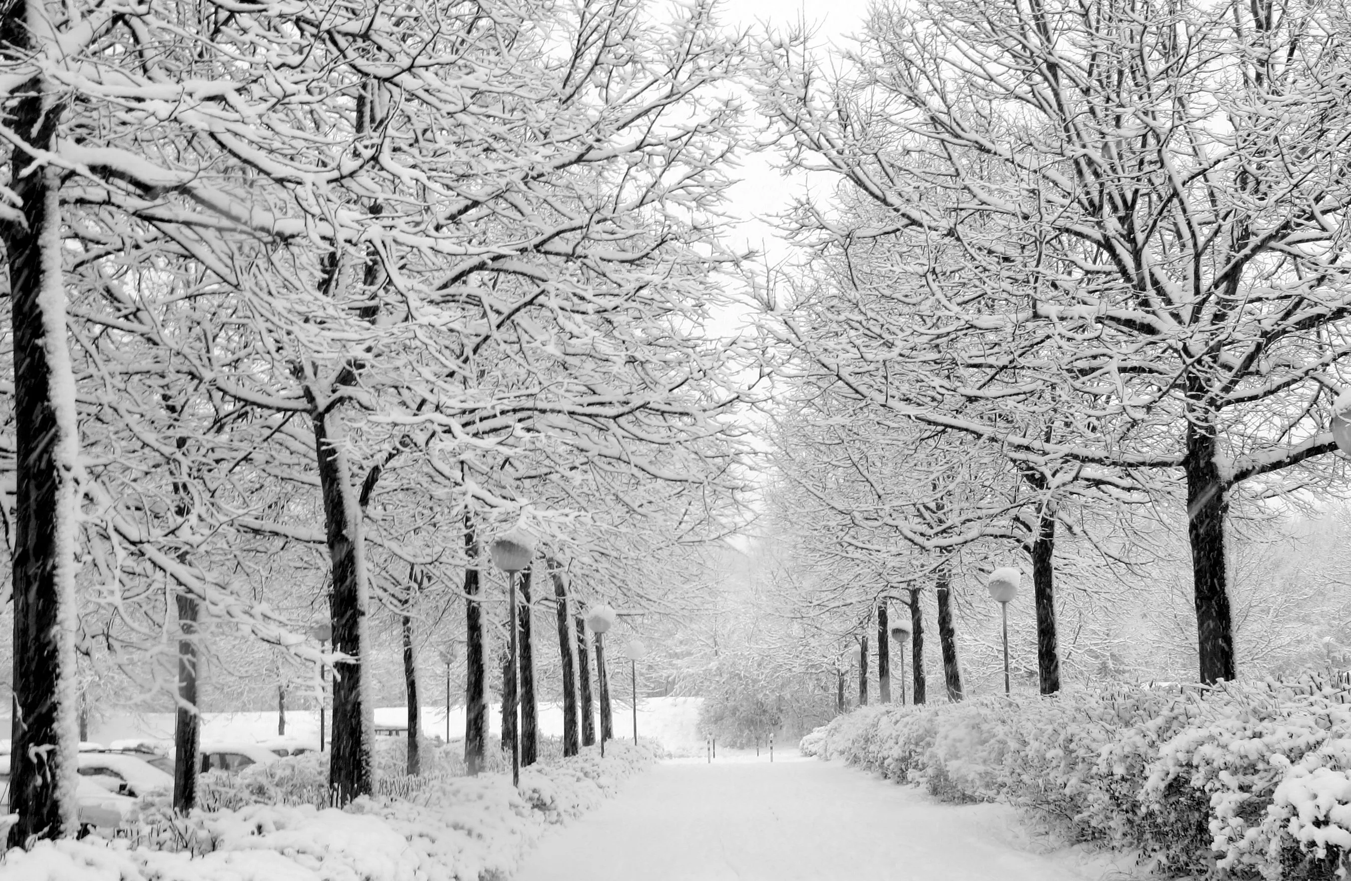 Winter Seasons in India